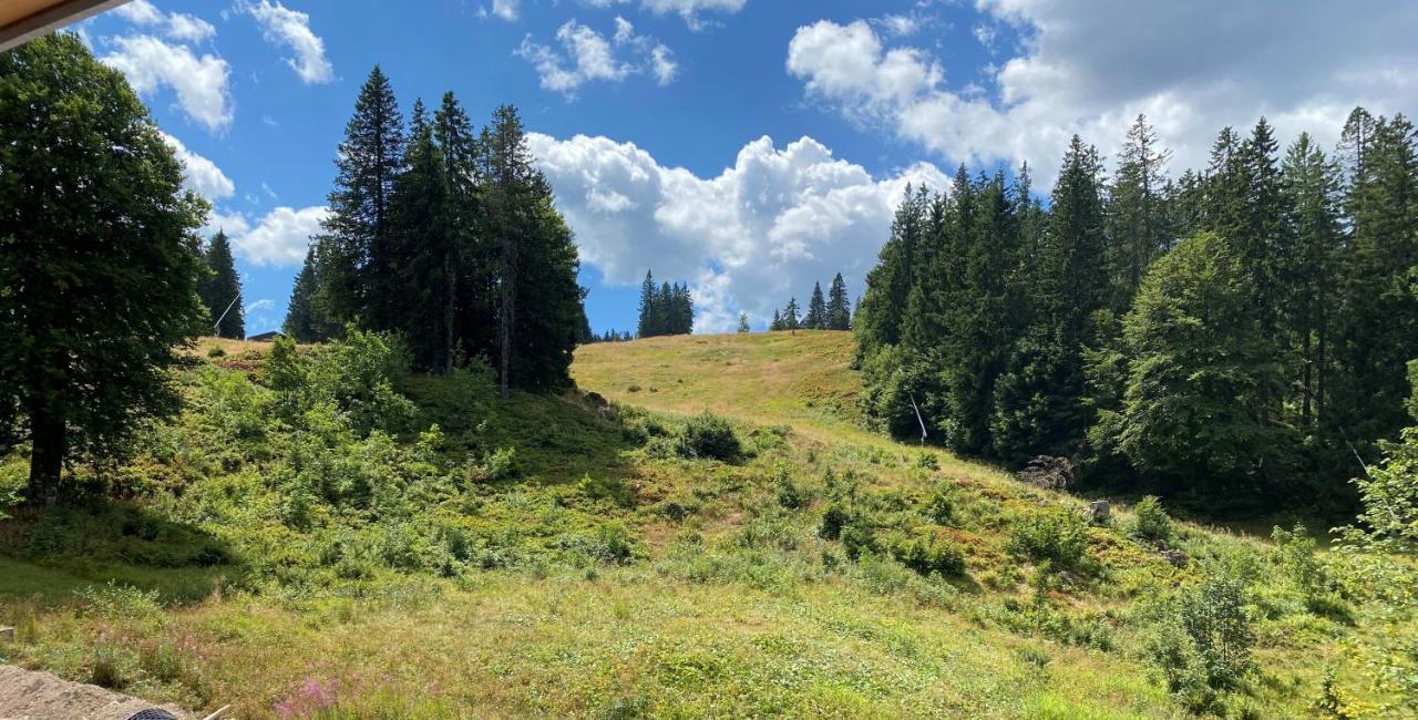 Ferienwohnung Feldberg Schwarzwald Exteriér fotografie