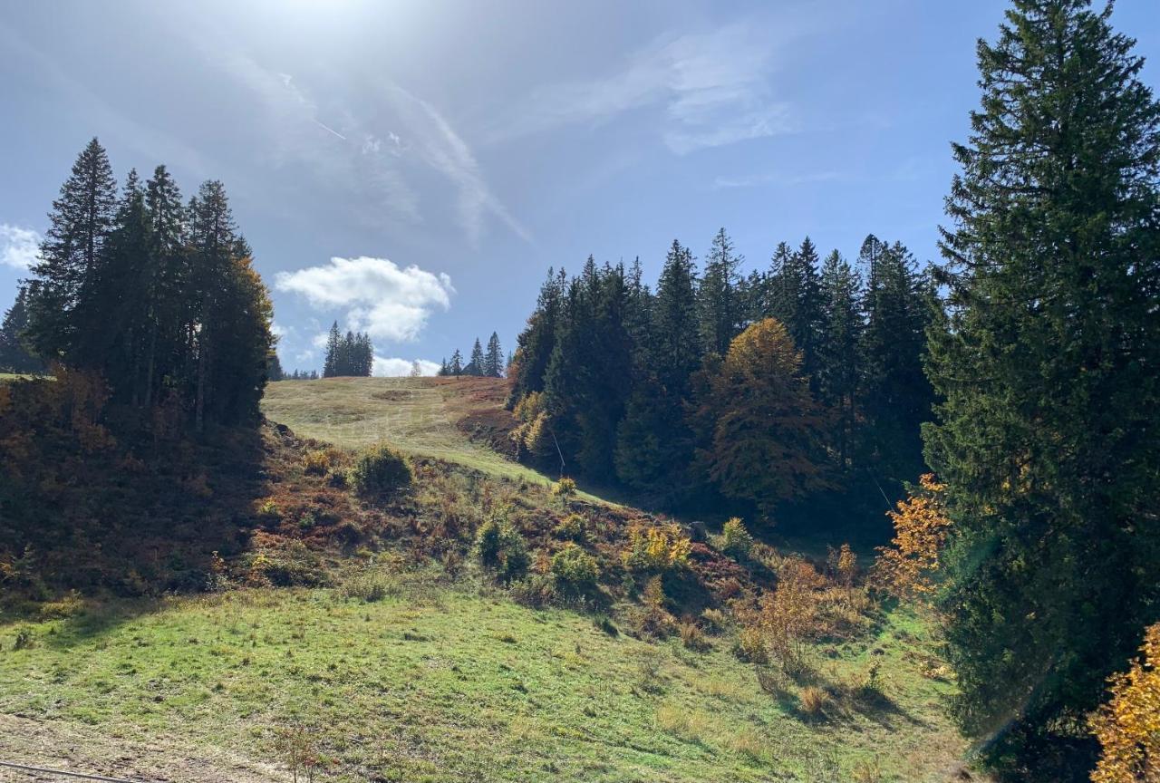 Ferienwohnung Feldberg Schwarzwald Exteriér fotografie